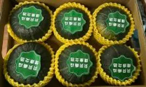 Bí ngô hạt dẻ Trung Quốc giá đắt gấp ba lần hàng Việt